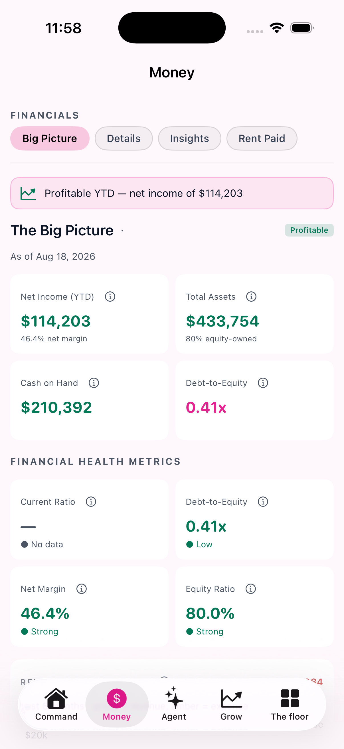 Money — The books read by the system: net income, assets, cash on hand, and the health ratios behind them.
